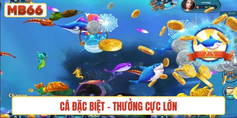 Cá đặc biệt - thưởng cực lớn