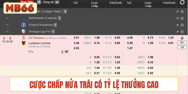 Cược chấp nửa trái có tỷ lệ thưởng cao
