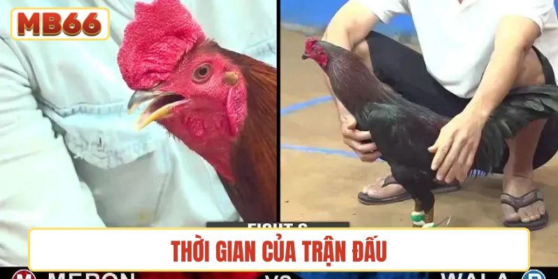 Thời gian của trận đấu