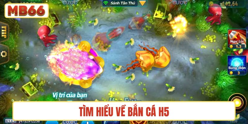 Tìm hiểu về Bắn cá H5